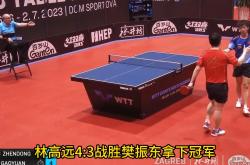 复仇之战！樊振东率领意大利队成功险胜对手的简单介绍
