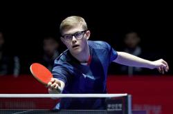 包含复仇之战！樊振东率领日本队成功险胜对手的词条