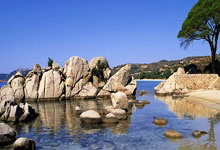 广西男篮防守强悍，成功击败对手